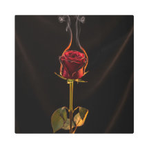 The image of a burning rose is full of meaning