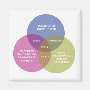 The Immaculate Venn Diagram Magnet