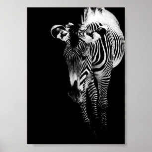The Imperial One Print