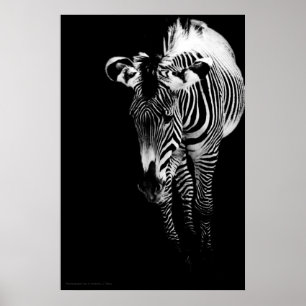 The Imperial One Print