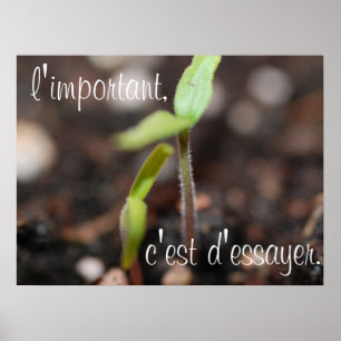 The important thing is to try-Motivational Poster