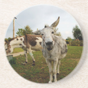 The inquisitive Donkey Coaster