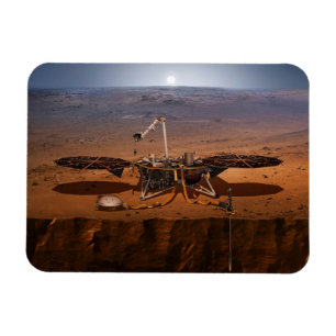 The Insight Lander Magnet