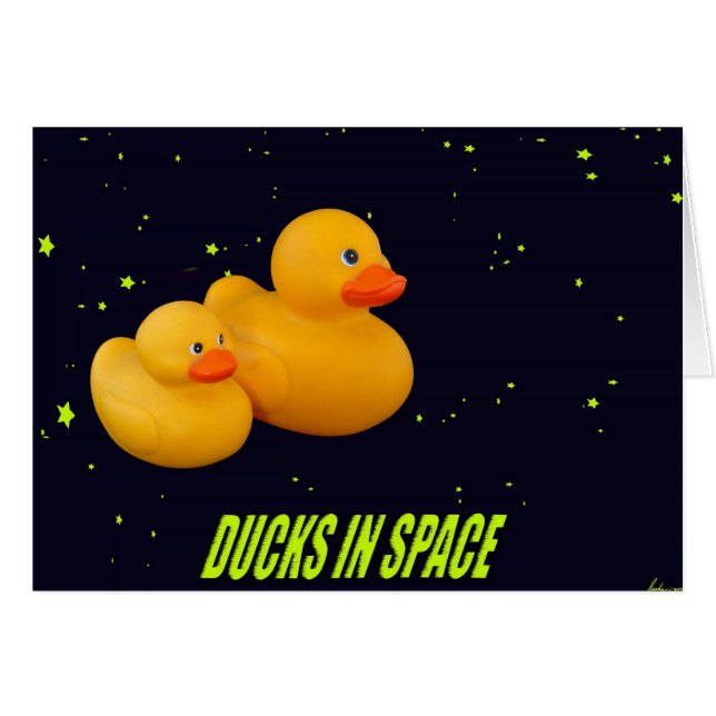 The intergalactic Ducks (Front Horizontal)