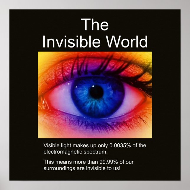 The Invisible World Poster (Front)