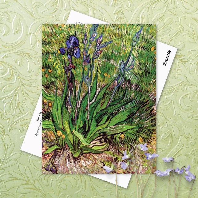 The Iris Landscape Vincent van Gogh Postcard (Creator Uploaded)