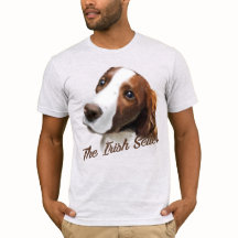 The Irish Setter