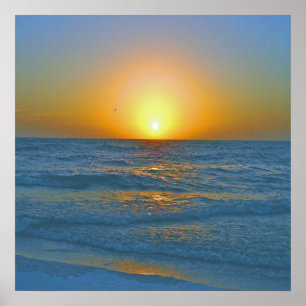 The Island called "Beer Can" Poster