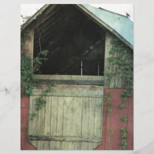 The Ivy Barn