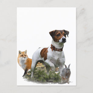 The Jack Russell Terrier , Art Postcard