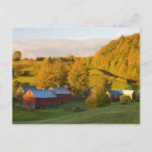 The Jenne Farm in Woodstock, Vermont. Fall. 2 Postcard