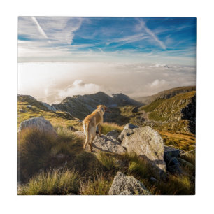 The journey ceramic tile