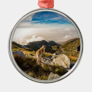 The journey metal ornament