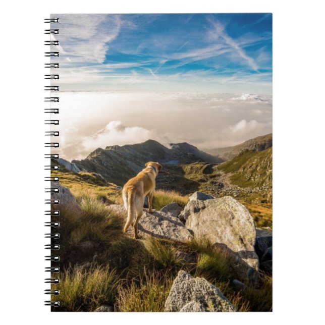 The journey notebook (Front)