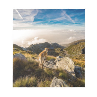 The journey notepad