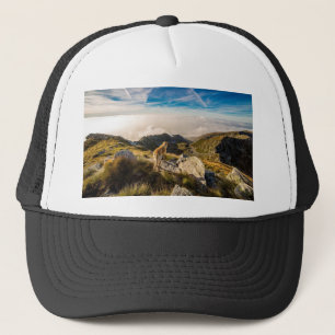 The journey trucker hat