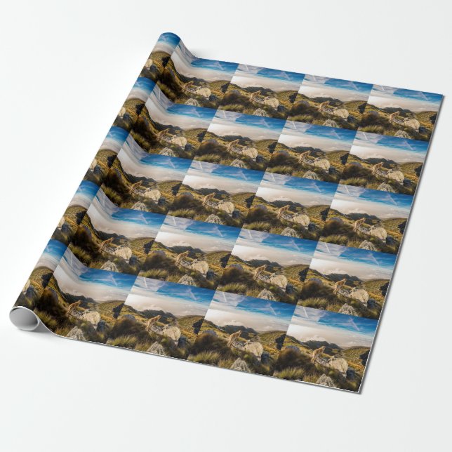 The journey wrapping paper (Unrolled)