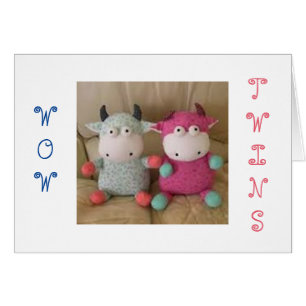 THE JOY OF TWIN GIRL/BOY DOUBLES EVERYTHING