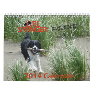 The Joyful Springer 2014 Calendar