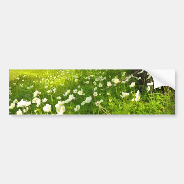 The Joys of Spring Bumper Sticker (Front)