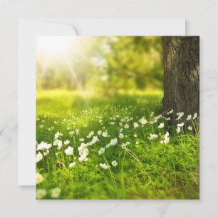 The Joys of Spring Card