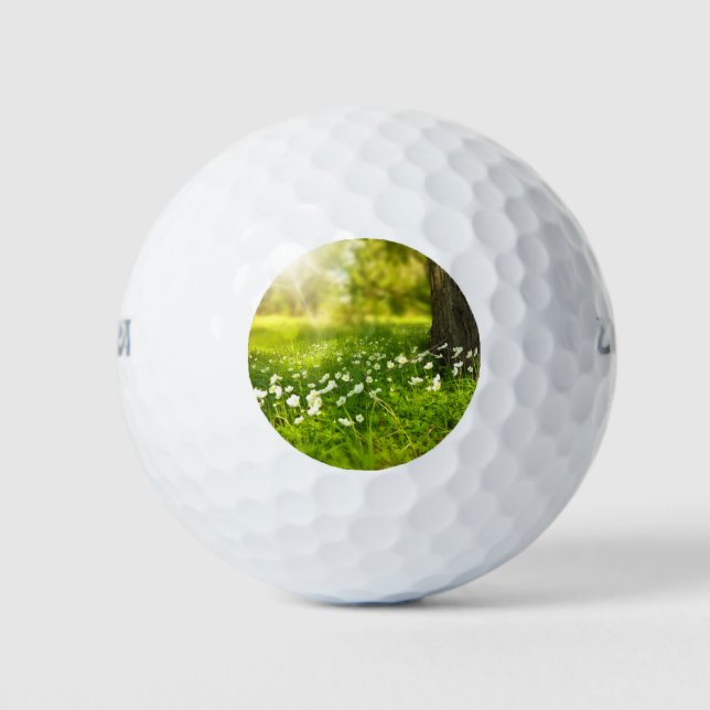 The Joys of Spring Golf Balls (Front)