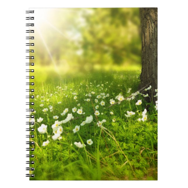 The Joys of Spring Notebook (Front)