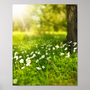 The Joys of Spring Poster
