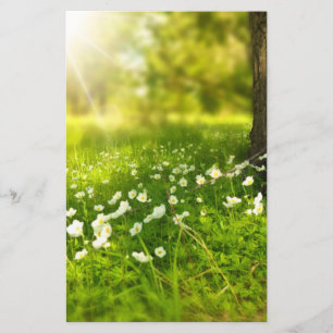 The Joys of Spring Stationery