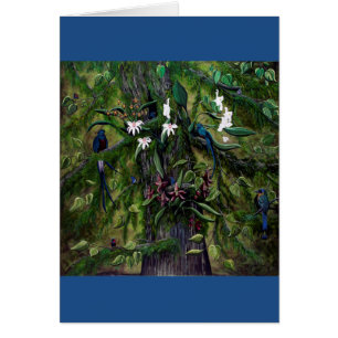 The Jungles of Tikal