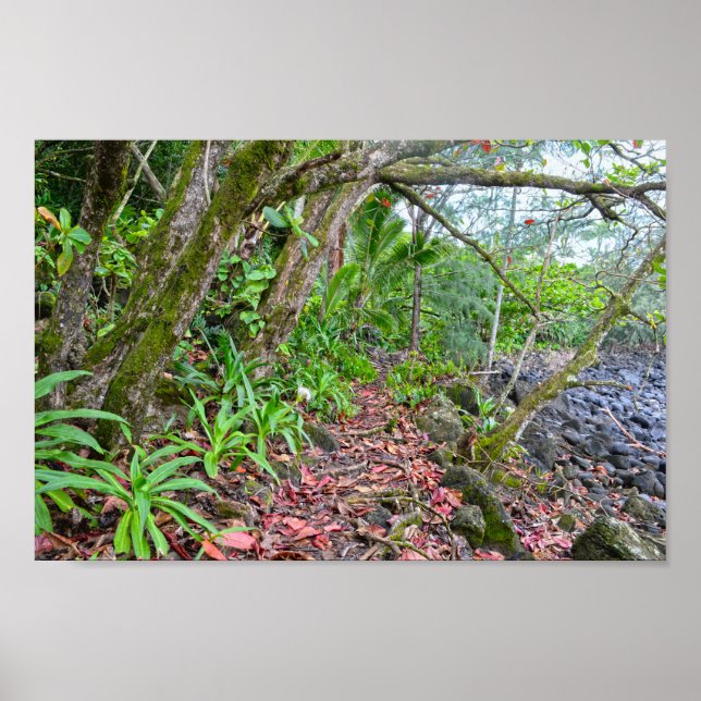 The Kalalau Trail, Napali Coast, Kauai, Hawaii Poster (Front)