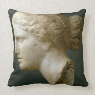 The Kauffmann Head, Roman (marble) Cushion