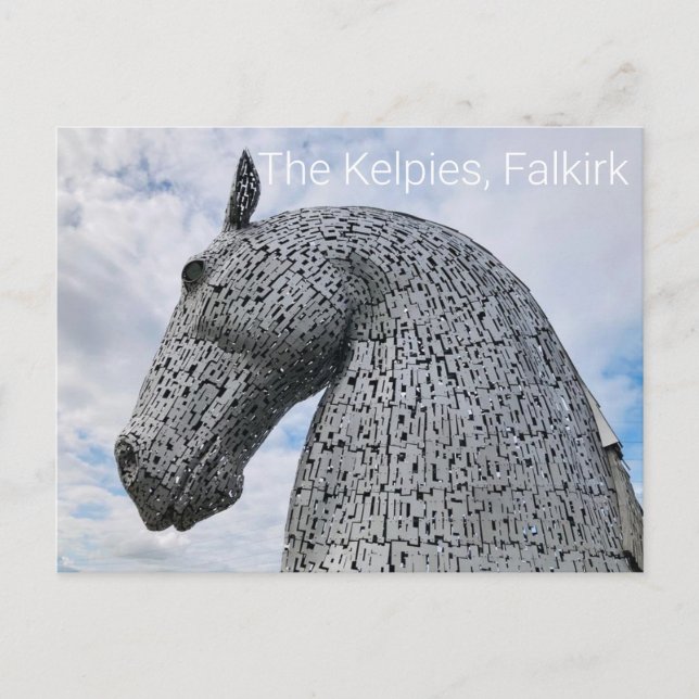 The Kelpies, Falkirk Postcard (Front)