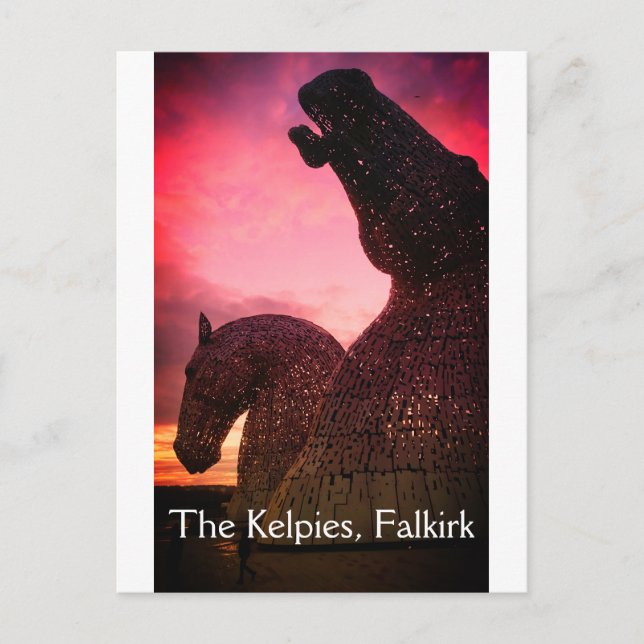 The Kelpies in Falkirk, Scotland postcard (Front)
