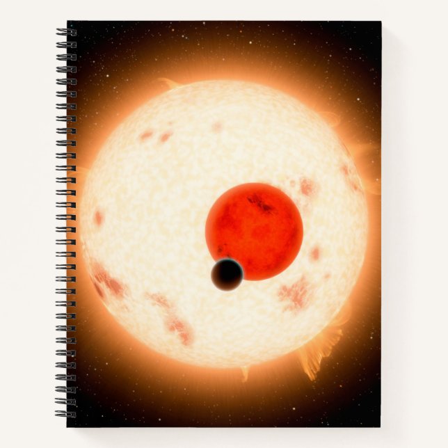 The Kepler-16 System. Notebook (Front)