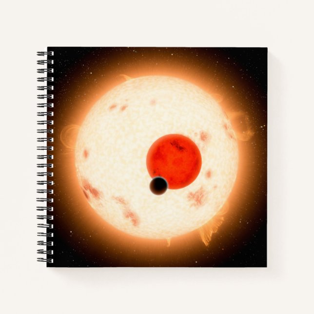 The Kepler-16 System. Notebook (Front)