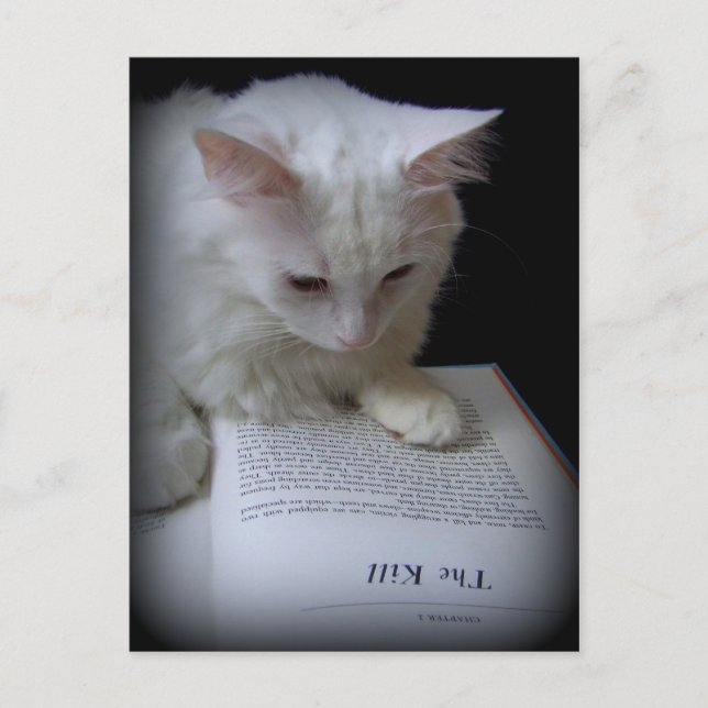 The Kill Postcard (Front)