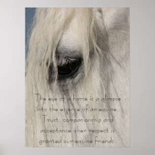 The Kind Eye of Gulliver Poster