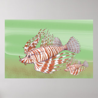 The King and I Poster