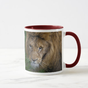 The King Mug
