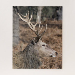 The King's Deer of Richmond Park, London, UK Jigsaw Puzzle