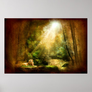 The King's Humility (Lion Art Poster) Poster