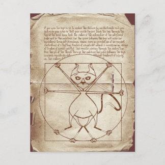 The Kinky Vitruvian Kitty Postcard