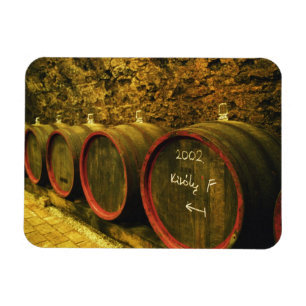 The Kiralyudvar winery: Barrels with Tokaj wine Magnet