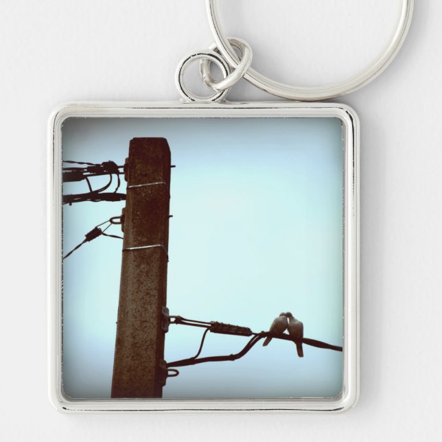 THE KISS Pigeons Keychain (Front)