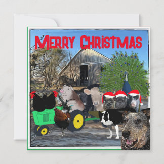 The Kitchen's Garden Full Cast Holiday Card