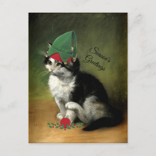 The Kitten, Old-Fashioned Christmas Holiday Postcard