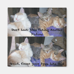 The Kittens -aka The Boys - funny pics Magnet