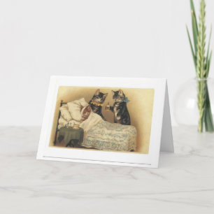 The Kitty Get Well Card