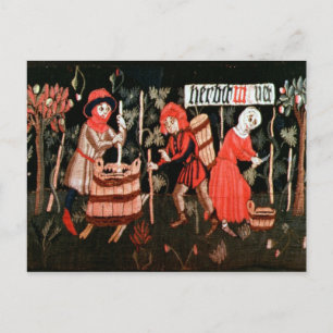 The Labours of the Months, from Alsace Postcard